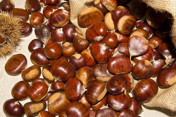 Поделки из желудей и каштанов