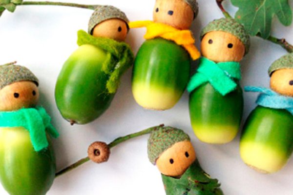 Зачем собирать желуди во время дождя