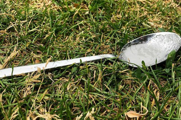 Вот почему нужно всегда оставлять ложку с сахаром во дворе