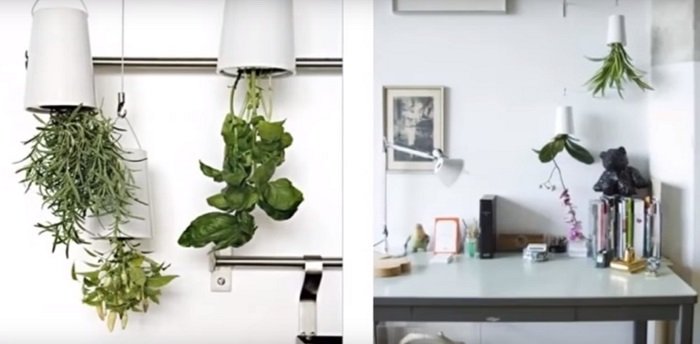 оригинальные кашпо своими руками