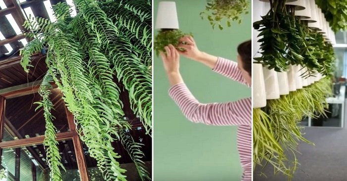 горшки для вазонов своими руками