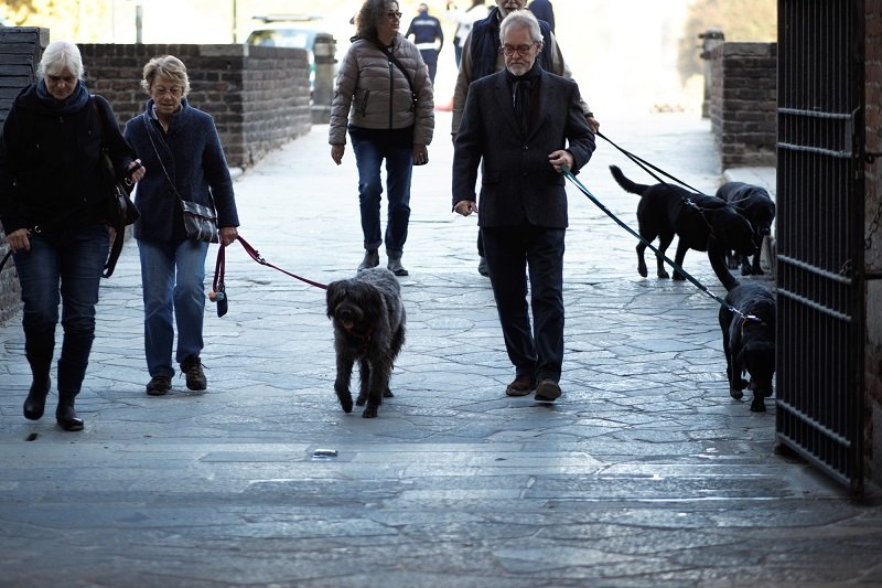 жизнь итальянцев