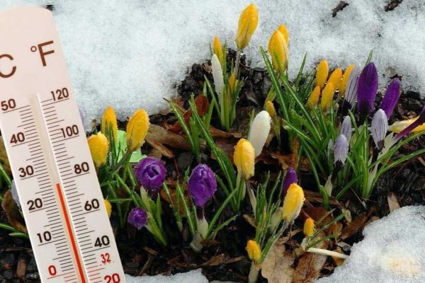 Грядет резкое потепление до 20 градусов, весна придет раньше, чем мы рассчитывали