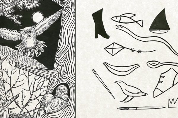 Найди 12 предметов на трехминутной «Ночной охоте», чтобы замедлить старение мозга