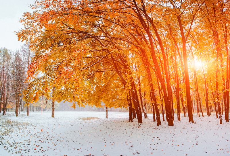 первый снег