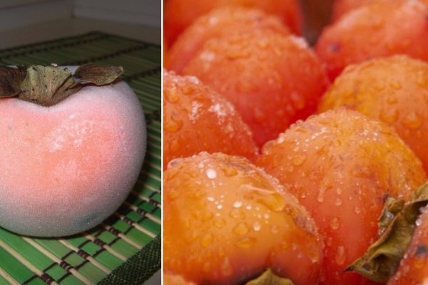 Зачем замораживать хурму