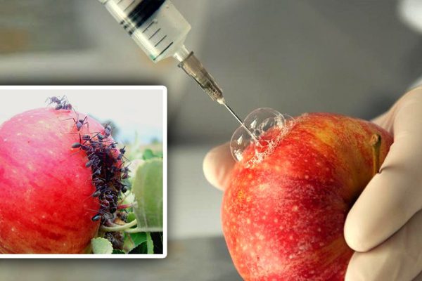 Последний раз учу, как правильно: «Берешь в магазине упаковку и читаешь. Если указано…»