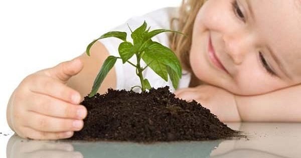 Выбрось очиститель воздуха! Эти 10 растений обеспечат твой дом чистым кислородом.