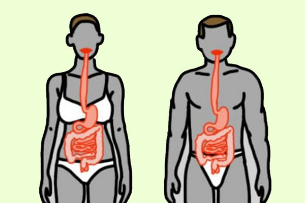 Эти 13 продуктов — настоящие спасители для желудка! Забудь о тяжести и других проблемах.