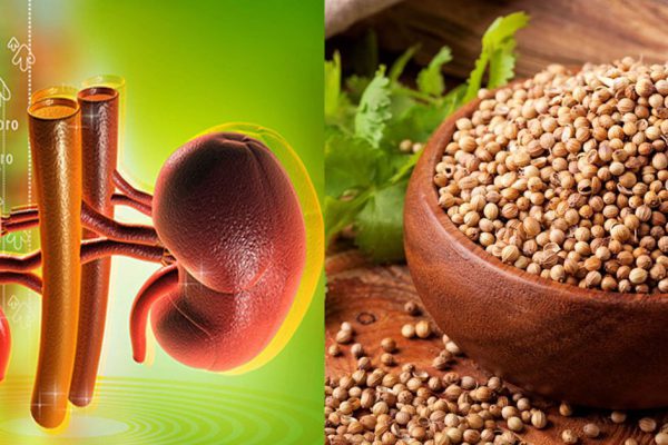 Она стала добавлять эту специю практически в каждое блюдо — и боли в почках больше не беспокоят.