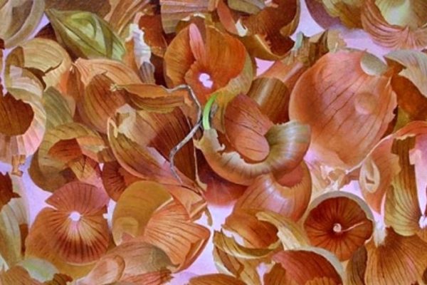 9 причин никогда не выбрасывать луковую шелуху. Выбери то, что подходит тебе!