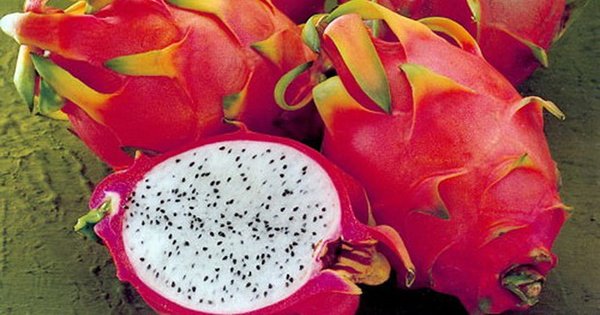 Витаминная бомба! 9 полезных свойств экзотического чуда питахайя.