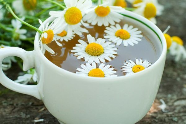 Этот напиток способен предотвратить рак: исключительная польза ромашкового чая.
