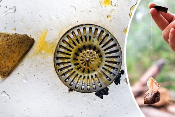 Старец раскладывает чайные пакетики у входной двери, чтобы отпугнуть всякую нечисть