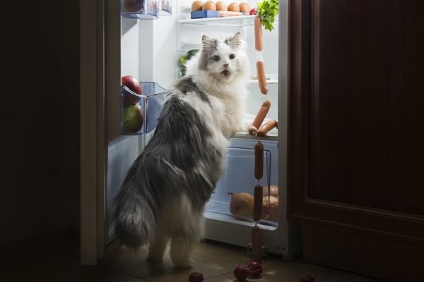 Ночью и днем перекусываю лишь полезной пищей, сменила одежду на размер меньше