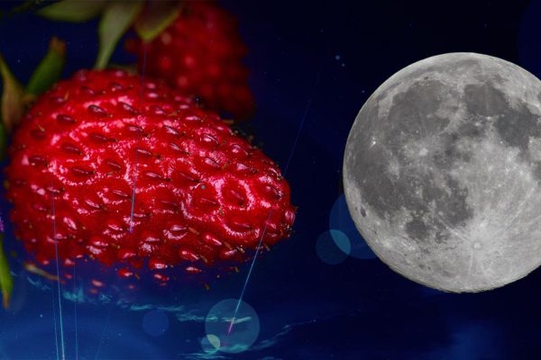 Что должна сделать каждая женщина в клубничное суперлуние 14 июня