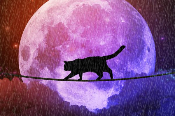 Почему полнолуние 16 апреля 2022 года особенное и как правильно провести этот день