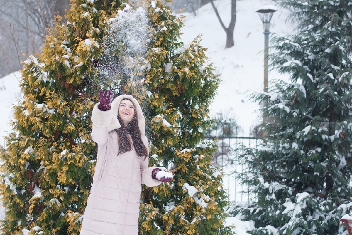 полнолуние в феврале