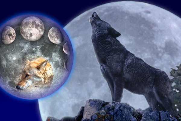 Волчье полнолуние 7 января совпадает с Рождеством, не игнорируй особенный день