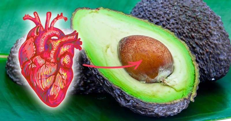 користь авокадо для організму