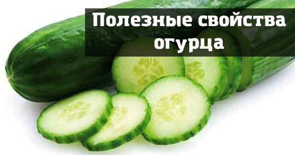 Антифриз в огурце