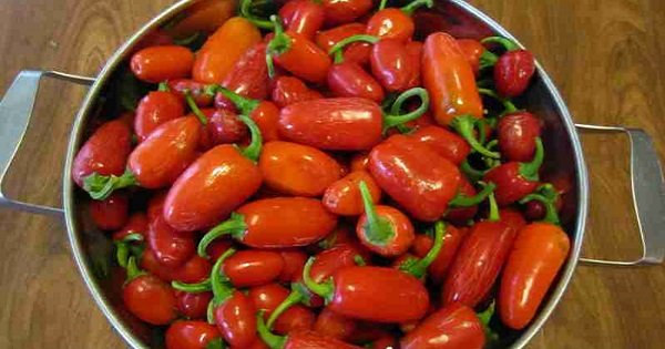 Вот почему острая пища так полезна для здоровья! 3 причины, которые тебя убедят…