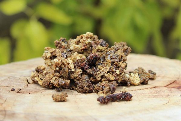 То, чем лечились наши предки: удивительные свойства прополиса для здоровья и красоты.