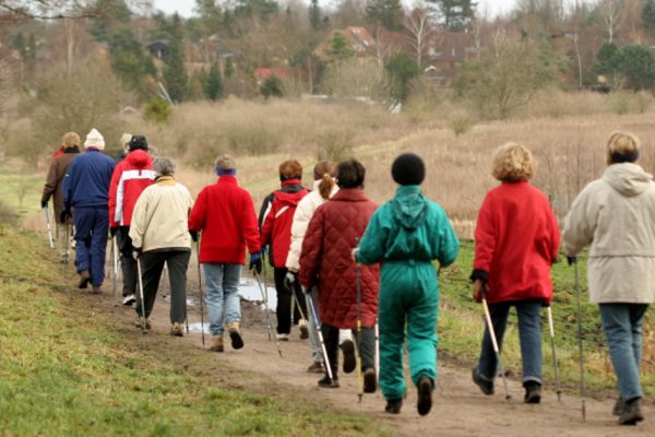 Польза скандинавской ходьбы