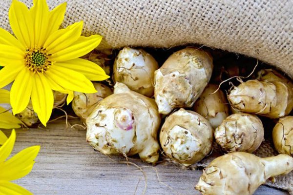 Овощ, который лечит сахарный диабет, псориаз, остеохондроз и не только!