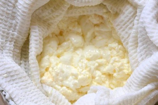 Польза творога для организма