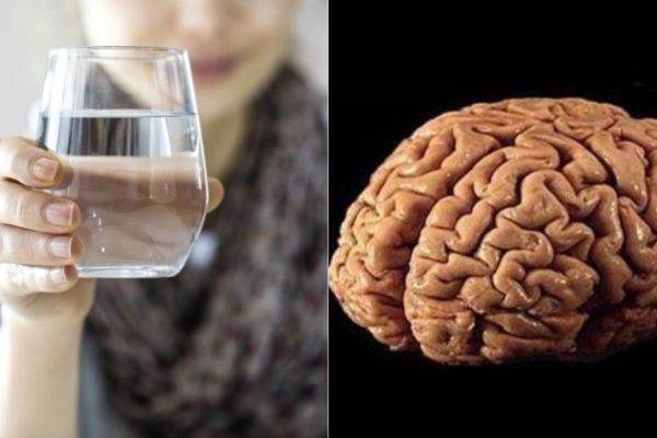 Ученые назвали главную причину развития раннего слабоумия! Больше всего от недостатка страдает…