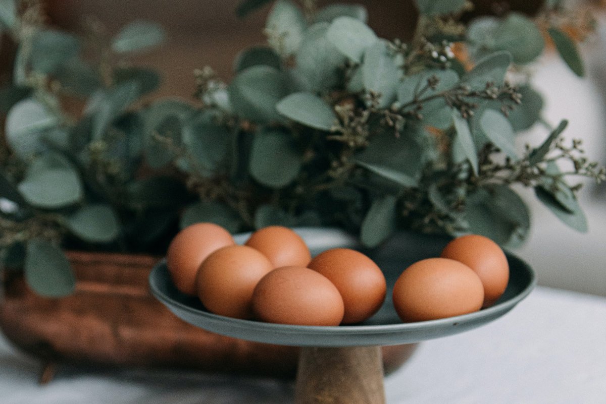 польза яиц для здоровья человека
