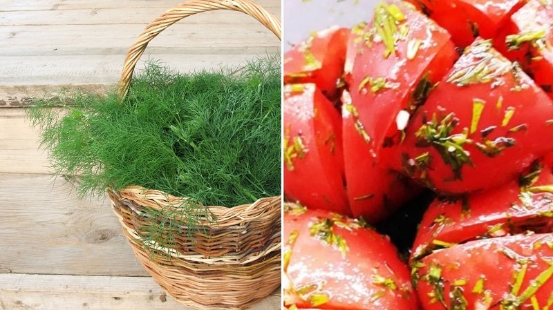 помидоры с укропом