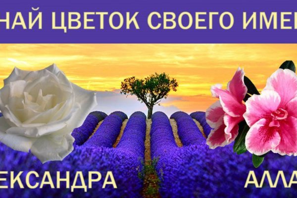 Как узнать цветок своего имени