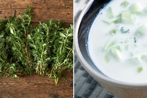 Как готовить портулак