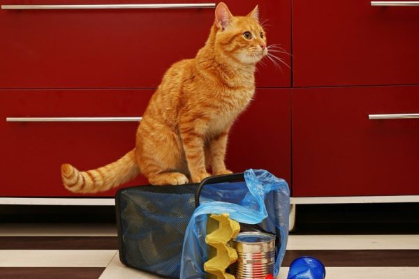 Стоило убрать мусорку из-под раковины на кухне, как семья стремительно разбогатела