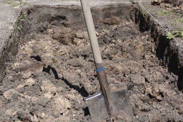 Посадка деревьев в квадратные ямы и как она сказывается на их росте