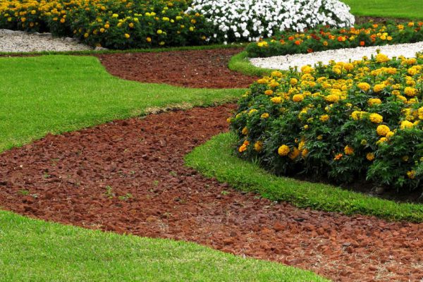 Beautiful park design