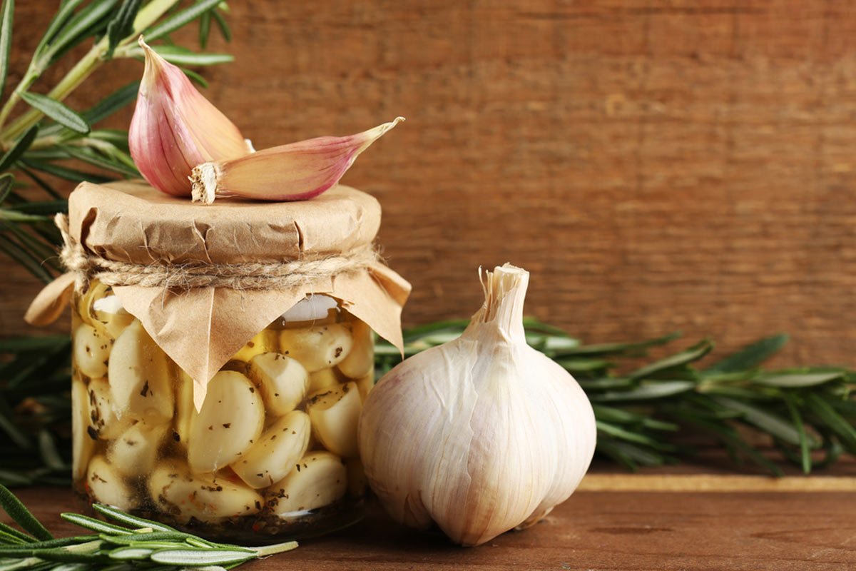 озимый чеснок когда убирать