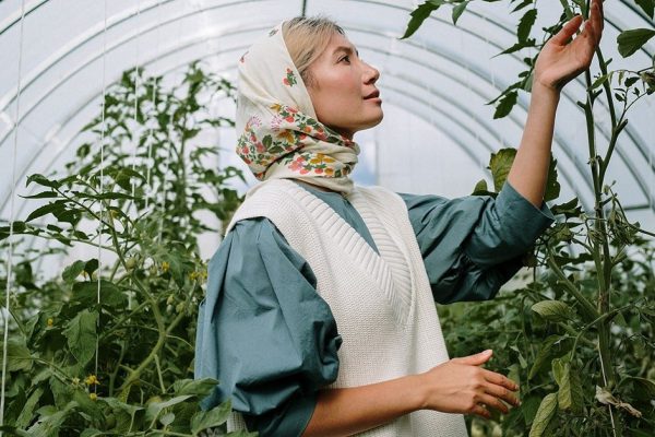 Работница частной «умной» теплицы поведала, что срочно высаживать на рассаду в феврале, открыл свой бизнес по продаже рассады