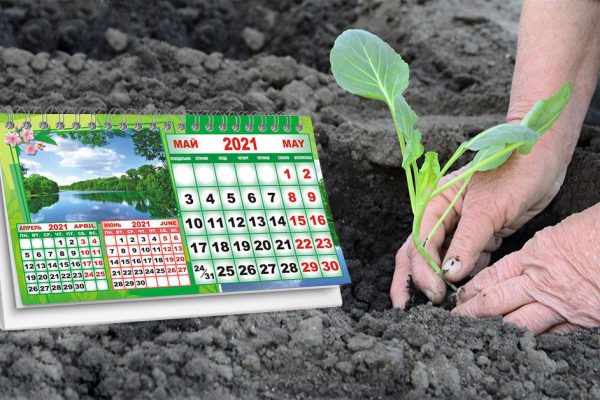 Лунный посевной календарь на май