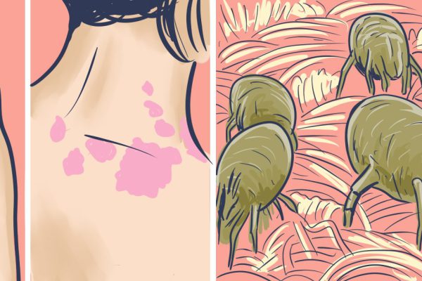 Она взяла смесь для глинтвейна и сварила из него супердейственное средство. Могу спать спокойно…