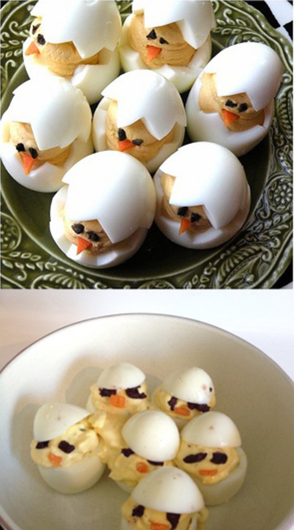 циплята из яиц