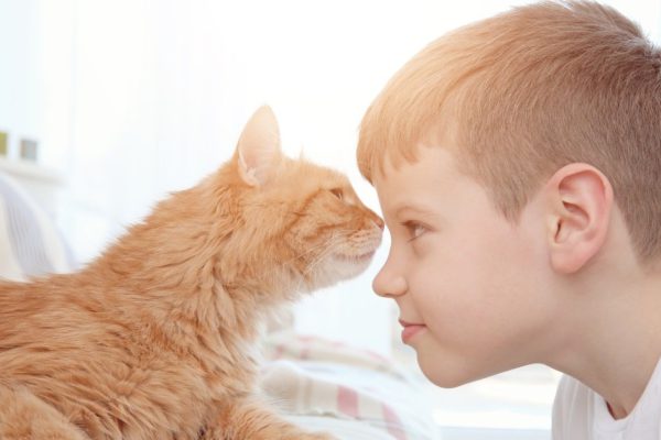 Little boy with cute cat at home