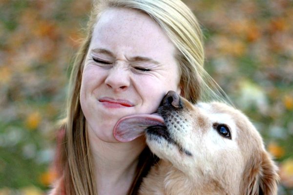 Если пес лизнул тебе ногу или руку, это особый знак! Вот как понимать любимую собаку…