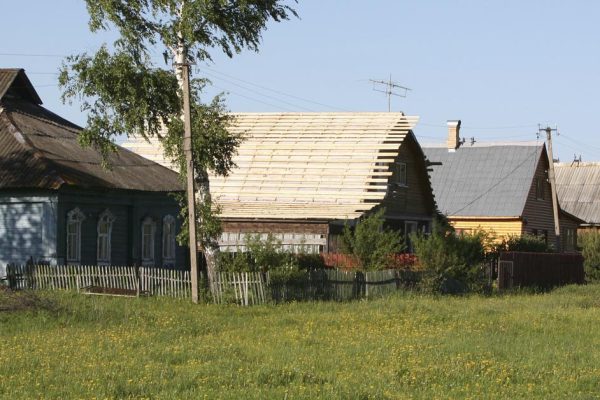 В среду бабуля проснулась рано, взяла зерно для кур и отправилась в хлев, чтобы покормить несушек и собрать яички