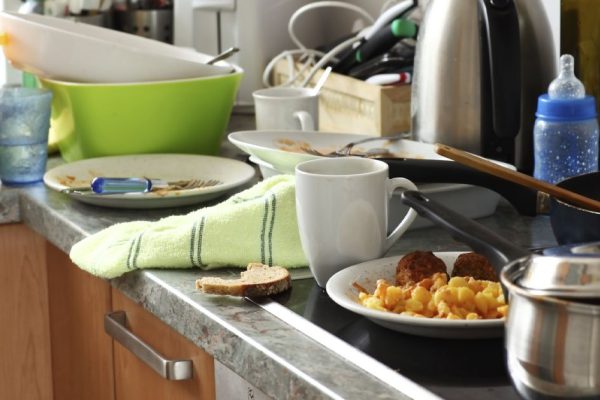 Показываю, какая антисанитария в доме у моей свекрови, прошу дружеского совета