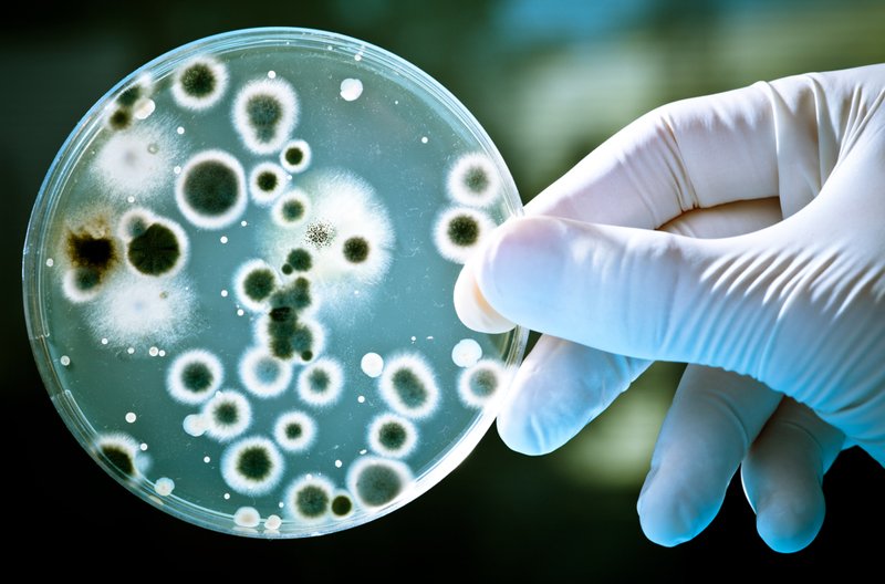 правила личной гигиены