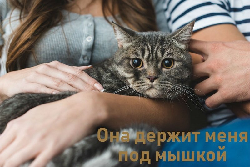 грубые ошибки в русском языке