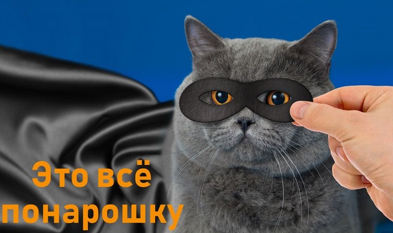 правописание наречий кратко